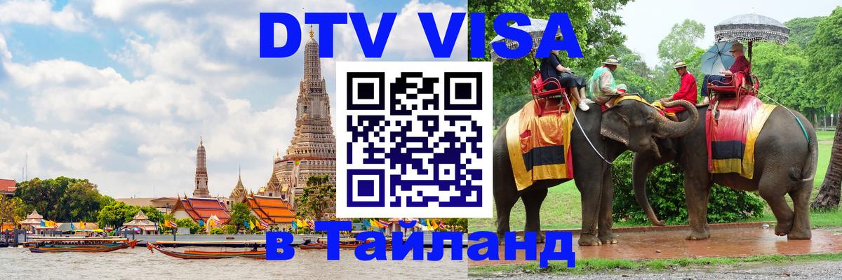 Сколько стоит DTV виза — актуальные цены, оформление даже без документов - Архангельск 